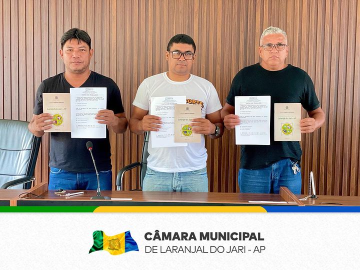 Comissão Especial de Revisão de Lei Orgânica Municipal e Regimento Interno