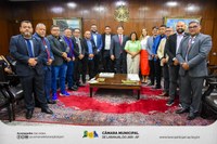 Vereadores de Laranjal do Jari, esteve reunida com senador Davi Alcolumbre, na Presidência do Senado Federal